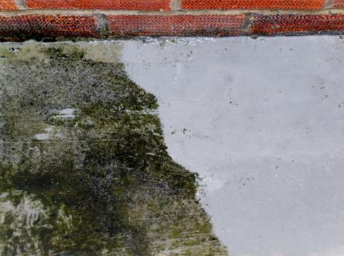 Concrete cleaning
