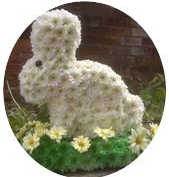 Bunny 01