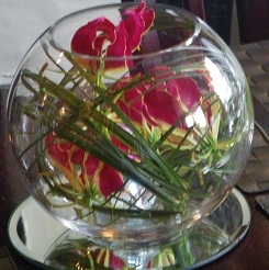 Small Gloriosa Fishbowl