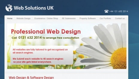 Professional Web Design 