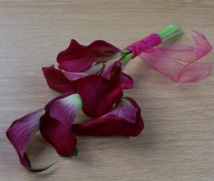 Dsc 0140 450x600