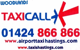 In Taxi Sign With Website 2 340x212