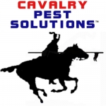 Cavalry Logo 1kpx