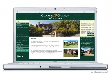 Website Design and Build - Clarke Gammon Wellers, Guildford