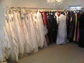 Lots to Choose from