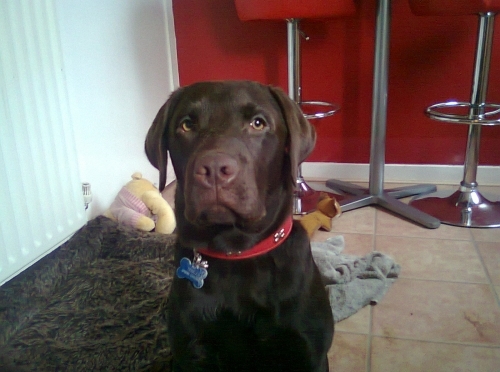 Photo0323