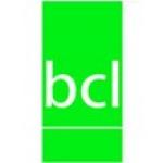 Beadle Construction Ltd - roofers