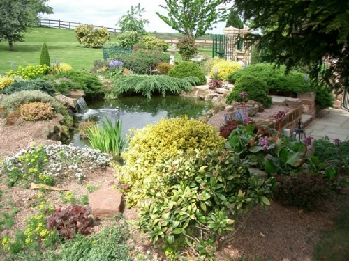 Creative Landscapes large garden with water feature