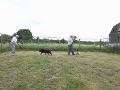 Wakes Colne Training Kennels can offer over 4 decades of experience of residential dog training find more out at http://www.touchlocal.com/6605452