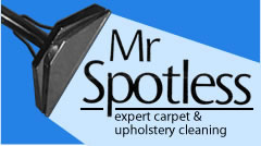 Mr Spotless Logo