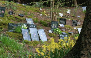 Natural Woodland Area for ashes scattering and pet memorials