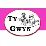 T Y Gwyn Boarding Kennels & Cattery
