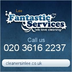 Professional Cleaning in Lee