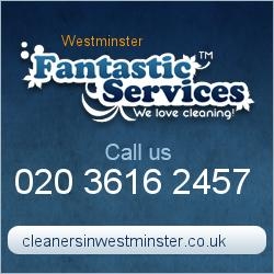 Fantastic Services Westminster