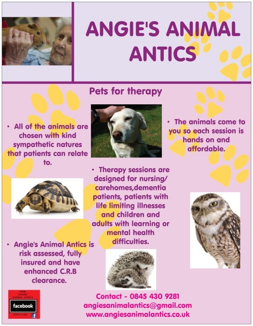 Pets for Therapy