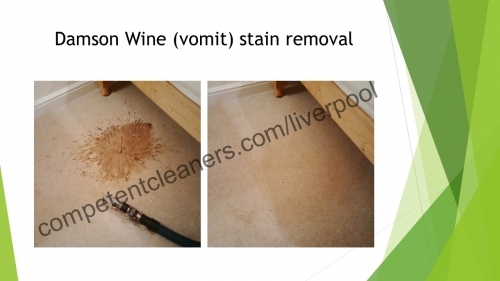 Vomit stain removal