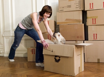 Removals Services in Lee