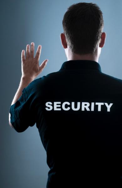 Tailored Security Services 