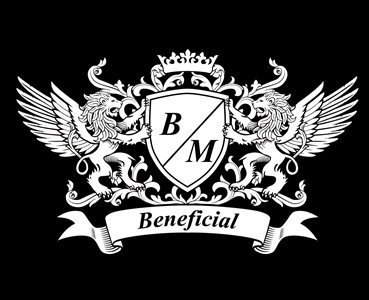 Vista Bm Logo