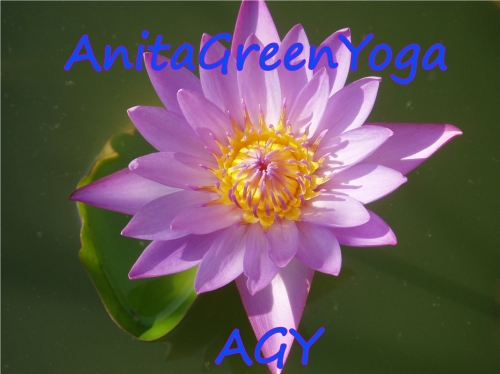 AnitaGreenYoga - Live Online Yoga Classes on Zoom