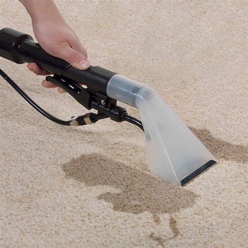 Carpet Cleaning in East London