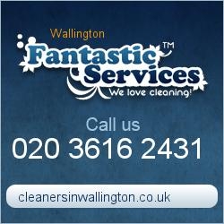 Wallington Cleaning Services