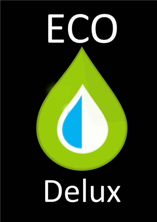The Eco Delux Car Valet