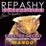 Crested Gecko Mango