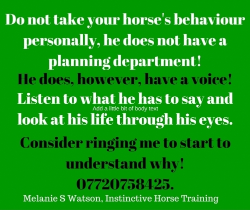 Instinctive Horse Training