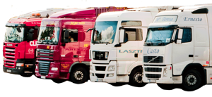 Main photo for Quality Asset Management Ltd