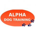 Alpha Dog Training & Cat Behaviour Consultancy