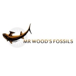 Mr Woods Fossils