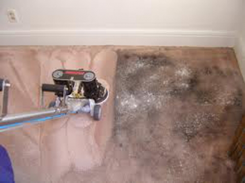 steam carpet cleaning 