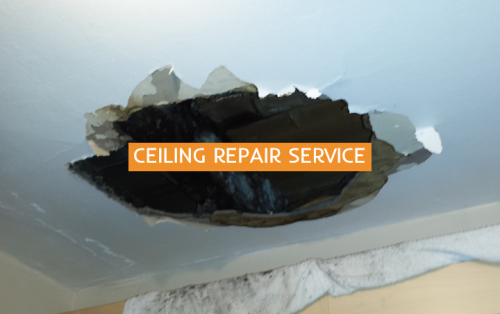 Ceiling Repairs