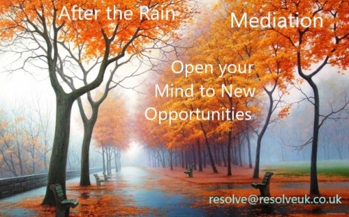 Mediation New Opportunities