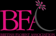 Bfa Logo