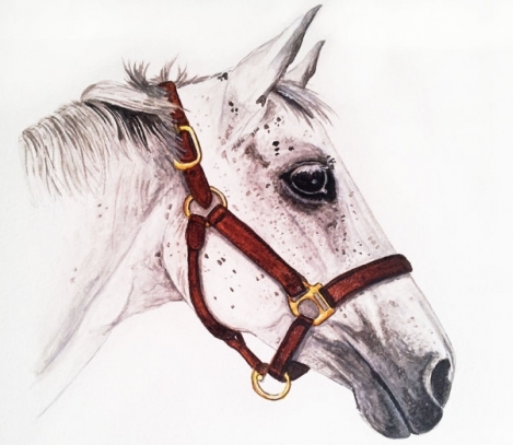 Horse painted by Andy Bibbings
