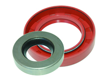 Rotary Shaft & Oil Seals