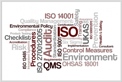 ISO IMS Wordle