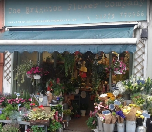 Brighton Flower Company Exterior