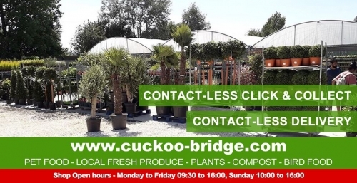 Cuckoo Bridge Nursery