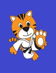 Tiny Tigers Martial Arts Class (from 4 ears of age)