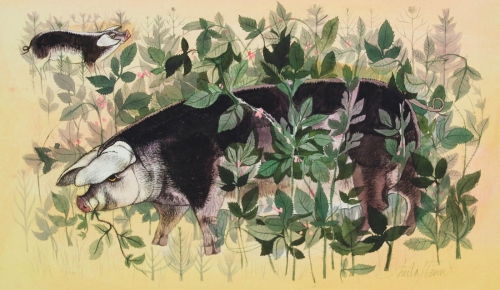 Sheila Flinn - Pigs, Mid 20th Century Watercolour