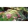 PME Horticultural