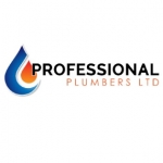 Main photo for professional plumbers LTD