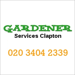 Gardeners Clapton