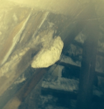 Wasps Nest Located in The Roof Void Prior to treatment