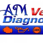 AM Vehicle Diagnostics
