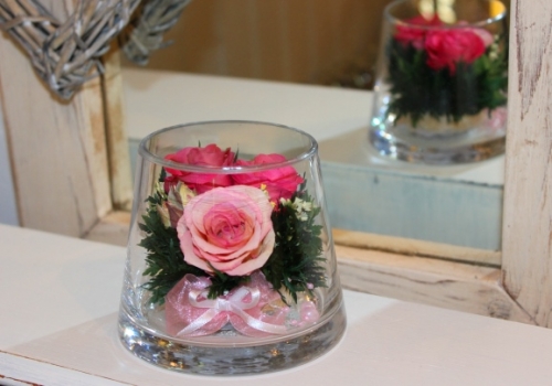 Light Pink Roses in XS Taper - up Vase