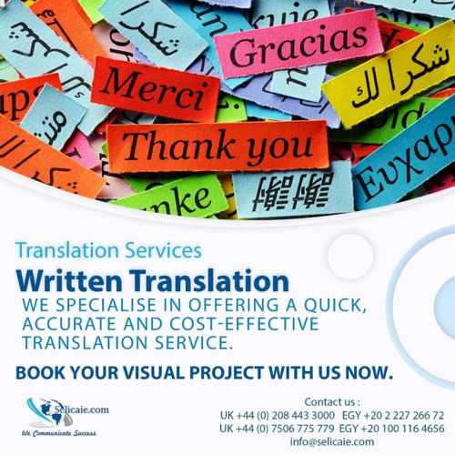 Translation Services 